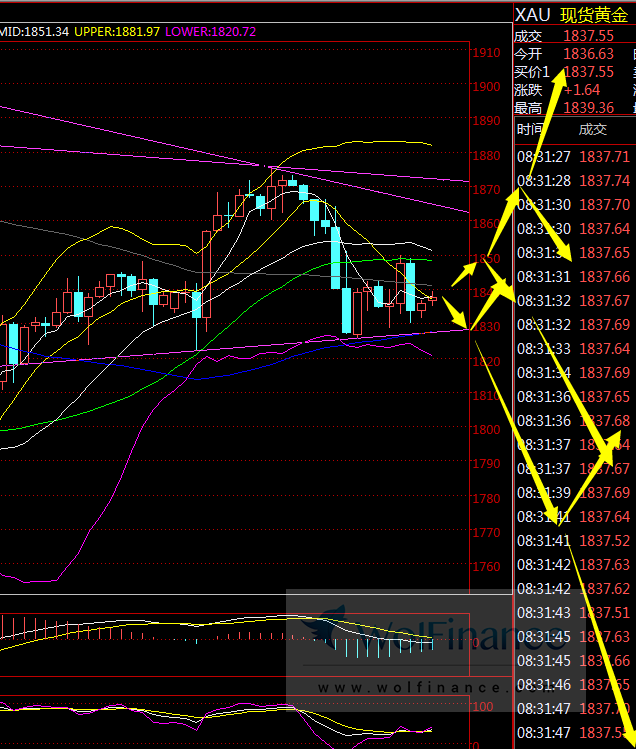 金荣中国：黄金关注1820-1830支撑，跌破将加速下跌35 / author:Jinrong China340 / PostsID:1586440